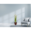 Ver imagem 2 de Planta Árvore Artificial Grass Com Flor 90 cm Kit + Vaso E. Marrom 30 cm