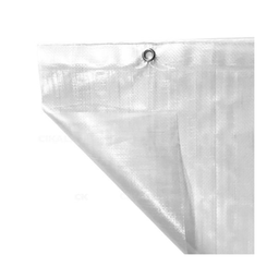 Lona Cobertura Cristal 3x2m - Master Lonas - 5