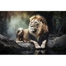 Quadro Decorativo 1 Tela Animais Leão Sereno na Natureza Diversos Tamanhos - 2