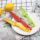 Ver imagem 3 de Kit 4 Facas Escolha Sua Cor Aço Inox Afiada com Bainha Capa Protetora Cozinha Pesca Camping Faquinha