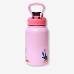 Garrafa Jupiter 500ml Princesas Ean :7908623033791