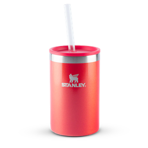 Can Cooler Stanley com Canudo Porta Lata Termico 296ml - Apple Shimmer