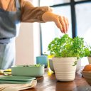 Ver imagem 3 de Vaso para Uma Planta Small em Plastico 100% Pos Consumo 1 Lt - Tierra - Taupe - Guzzini