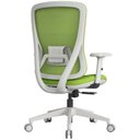 Ver mais imagens de Cadeira Escritório Diretor NR17 Ergonômica Tela Mesh Sigma Verde