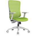 Ver imagem 1 de Cadeira Escritório Diretor NR17 Ergonômica Tela Mesh Sigma Verde