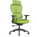 Ver imagem 3 de Cadeira de Escritório Presidente NR17 Ergonômica Tela Mesh Beta Verde
