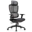 Ver imagem 1 de Cadeira de Escritório Presidente NR17 Ergonômica Tela Mesh Phi Preto