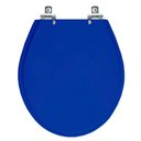 Ver imagem 1 de Assento Sanitário Soft Close Ravena Azul para Vaso Deca
