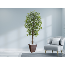 Ver imagem 2 de Planta Artificial Ficus Verde 2,10m kit + Vaso Trapezio D. Grafiato Marrom 40cm