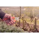 Ver mais imagens de Tesoura de Poda Tramontina com Lâmina Metálica e Cabo Plástico Tramontina