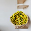 Ver imagem 7 de 6 Flores Girassol Artificial Amarelo Decoração Barata Realista Grande Qualidade Premium