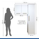 Ver imagem 3 de Lavanderia Modulada 1 Armário Multiuso e Armário Aéreo Uberlândia