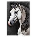 Ver imagem 1 de Quadro Decorativo Cavalo Sala Quarto Moldura Cx Alta 100x66 Titulos Moldura Branca