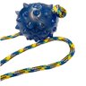 Bola Agility Cristal Mamona 75mm Para Cachorro Pet Morder: Azul - 3