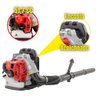 Soprador de Folhas Costal Kawashima Potente Kwb52 51,7cc - 4