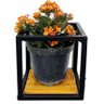 Suporte Plantas Parede prateleira Vasinho Individual Super Promoção MINAS ARTE PRÓPRIA 4 suportes - 3