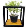 Suporte Plantas Parede prateleira Vasinho Individual Super Promoção MINAS ARTE PRÓPRIA 4 suportes - 1