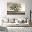 Ver imagem 3 de Quadro Decorativo Moderno Arvore Galhos Secos Sem Moldura e Sem Vidro 40x60
