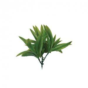Acessório Para Jardim Vertical Dracena Ramos 