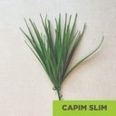 Ver imagem 2 de Acessório p/Jardim Vertical Capim Slim Verde Graddus