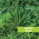 Ver imagem 3 de Acessório p/Jardim Vertical Capim Slim Verde Graddus