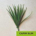 Ver imagem 2 de Acessório Para Jardim Vertical Capim Slim