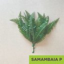 Ver imagem 2 de Acessório p/Jardim Vertical Samabaia P Verde/Samambaia Graddus