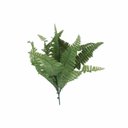 Ver imagem 1 de Acessório p/Jardim Vertical Samabaia P Verde/Samambaia Graddus