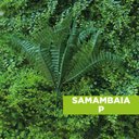 Ver imagem 3 de Acessório Para Jardim Vertical Samabaia P