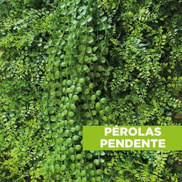 Acessório Para Jardim Vertical Perolas Pendentes - 3