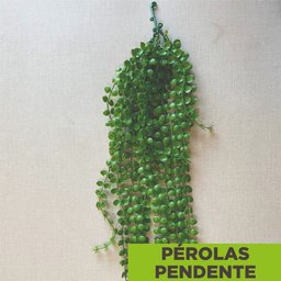 Acessório Para Jardim Vertical Perolas Pendentes - 2