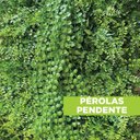 Ver imagem 3 de Acessório p/Jardim Vertical Perolas Pendentes Verde/Pérolas Graddus