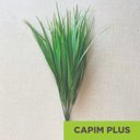 Ver imagem 2 de Acessório p/Jardim Vertical Capim Plus Verde Graddus