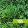 Acessório Para Jardim Vertical Capim Plus - 3