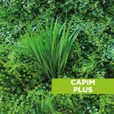 Ver imagem 3 de Acessório Para Jardim Vertical Capim Plus