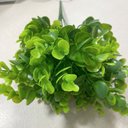 Ver imagem 2 de Acessório p/Jardim Vertical Pingo de Ouro Verde Graddus