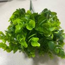 Ver imagem 2 de Acessório Para Jardim Vertical Pingo de Ouro