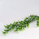 Ver imagem 1 de Acessório Para Jardim Vertical Eucalipto Folhas Redondas