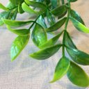 Ver imagem 2 de Acessório p/Jardim Vertical Eucalipto Folhas Redondas Verde Graddus