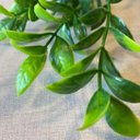 Ver imagem 2 de Acessório Para Jardim Vertical Eucalipto Folhas Redondas