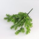 Ver imagem 2 de Acessório p/Jardim Vertical Tuia Holandesa Verde Graddus
