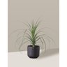 Vaso Cachepô de Cerâmica para Plantas Preto ME - 2