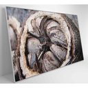 Ver mais imagens de Quadro Castanha Do Pará Amazônia 90x60 Cm Vidro Impresso