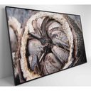Ver imagem 7 de Quadro Castanha Do Pará Amazônia 90x60 Cm Vidro Impresso