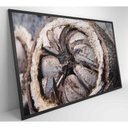 Ver imagem 6 de Quadro Castanha Do Pará Amazônia 90x60 Cm Vidro Impresso