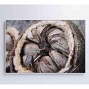 Ver imagem 5 de Quadro Castanha Do Pará Amazônia 90x60 Cm Vidro Impresso