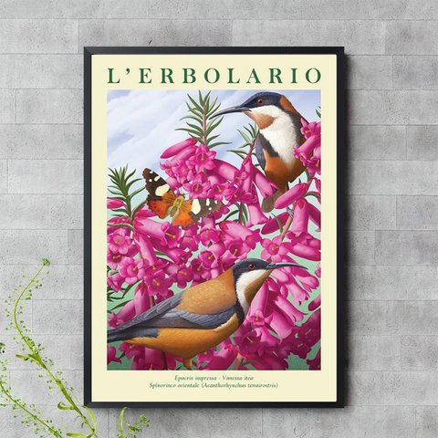 Quadro Passarinhos com Flores Rosas 33x24cm:moldura Preta