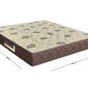 Ver imagem 2 de Colchão King Size Livorno St (Eps - D28 Misto Espuma) Orthoflex 24x193x203cm Marrom/Bege