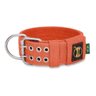 Coleira Cachorro Grande Forte Coleira Amorosso Cor Laranja:PP - 1