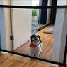 Tela Grade De Porta Cachorro Pet Caes Cao Bebe Gato Crianças Parede - 2